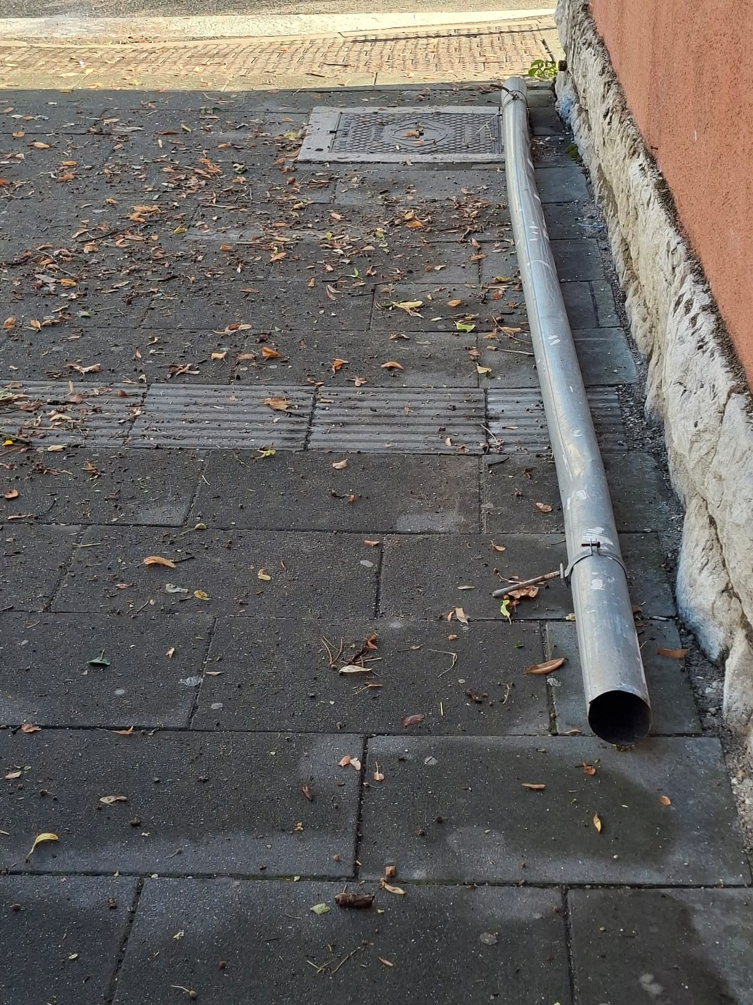1000247786 1000247786