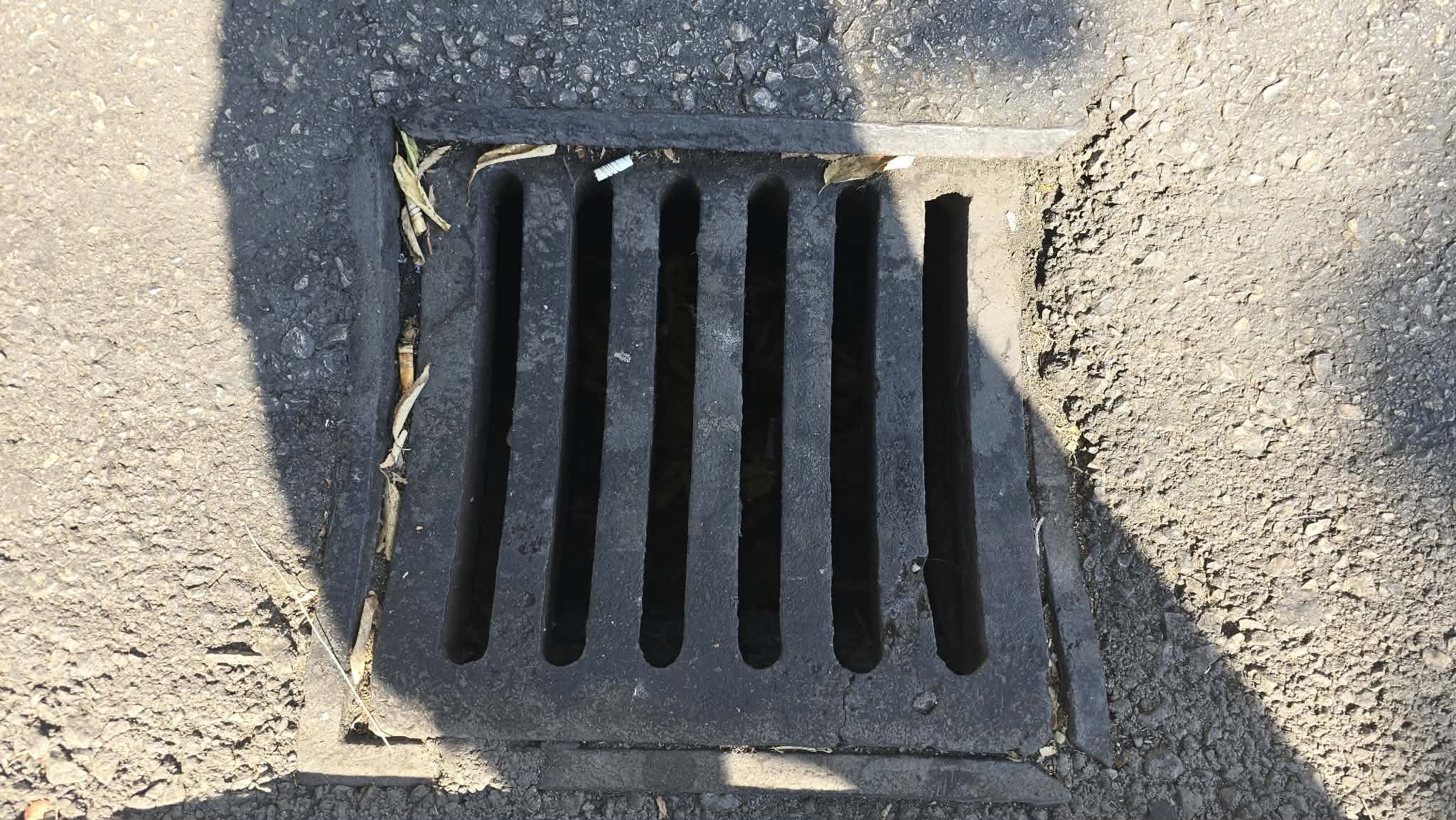 1000254524 1000254524