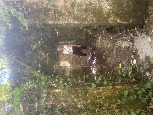 image3 image3