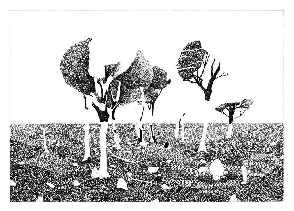 PROLJEĆE-U-MRTVOJ-&Scaron;UMI-2-30-x-42-cm-1024x736