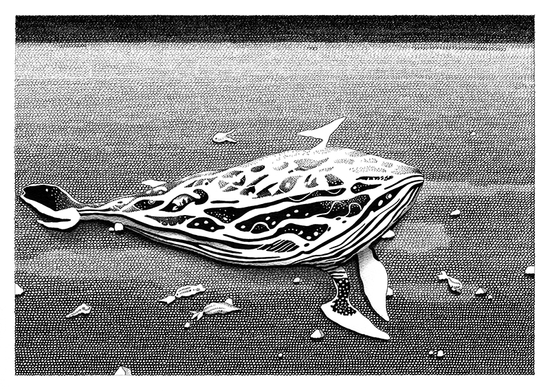 VRSTA 2, 30 x 42 cm, Species 2